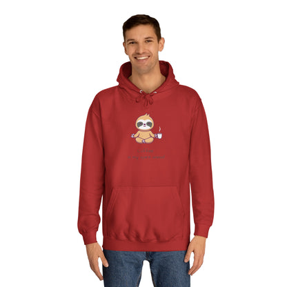 Sloth, Coffee Is My Spirit Animal, Hoodie, Sweatshirt, Sweater, Woman's, Animals